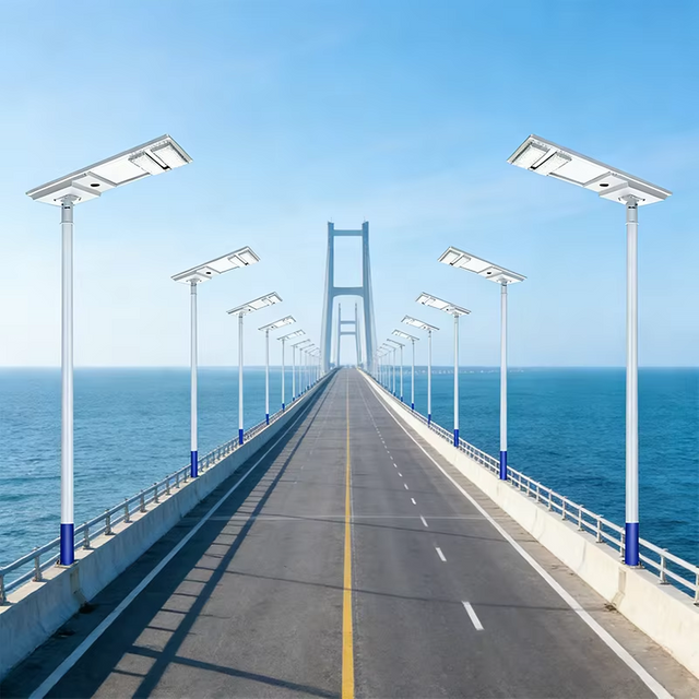 Panel Monokristalin Efisiensi Tinggi Lampu Jalan Tenaga Surya untuk Pengisian Cepat di Area Cerah & Teduh Sebagian